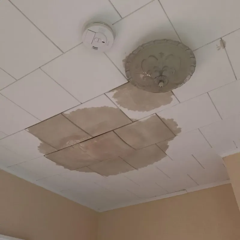 Ceiling Water Damage Repair in Burnet, TX