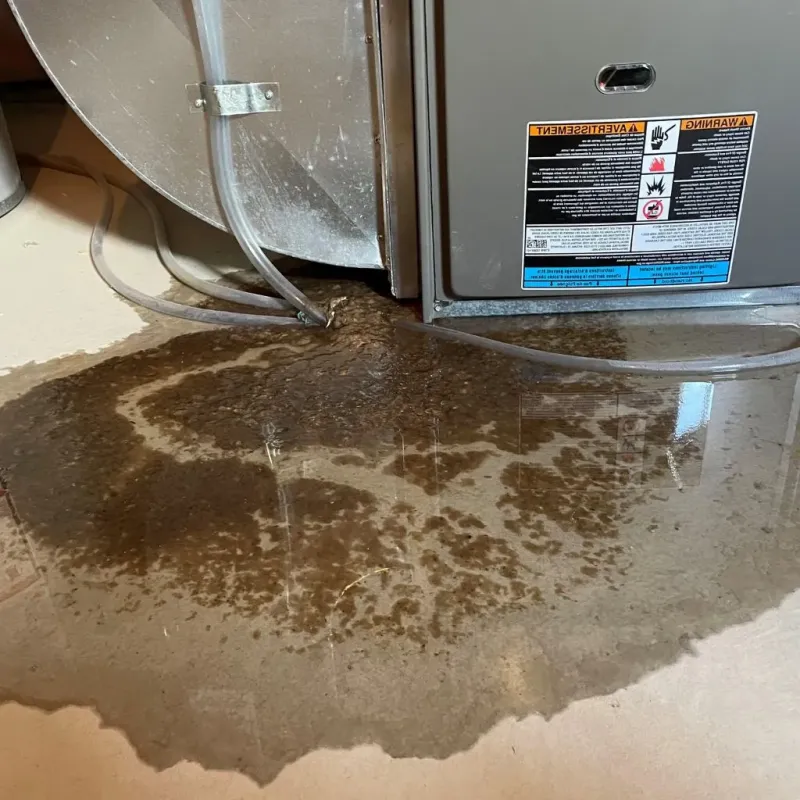 Pipe Burst and Leak Restoration in Burnet, TX