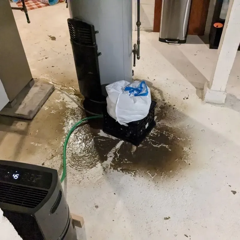Sewage Backup Cleanup Service in Burnet, TX